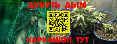 дмт Донецк
