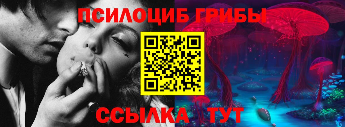 Галлюциногенные грибы Magic Shrooms  хочу наркоту  Наро-Фоминск  Вход с VPN 